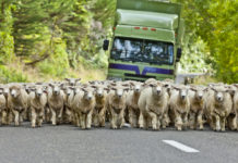 Hydrogen stations to fuel heavy transport