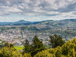 2,500 new homes planned for Dunedin