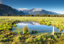 Feedback sought on proposed West Coast land classifications