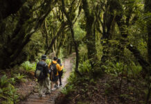 Outdoor agencies join hands to improve trails app