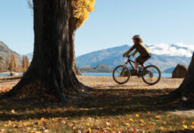 Next stage of Wānaka ‘Schools to Pool’ route open for tender