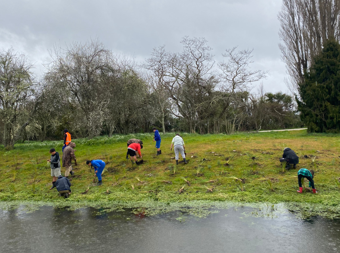 Hannahs Bay wetland restoration progresses Inside Government NZ