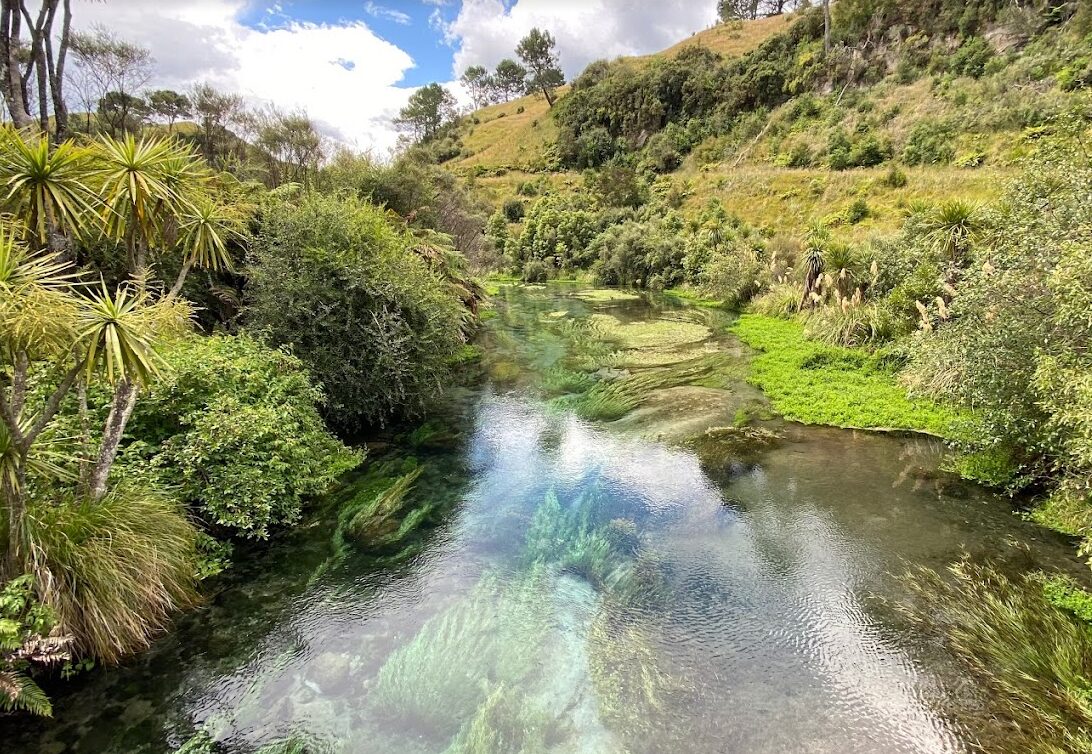 Change proposed for Waihou constituency boundary - Inside Government NZ