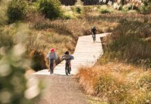 Kaimai Ward Reserve plan to be reviewed