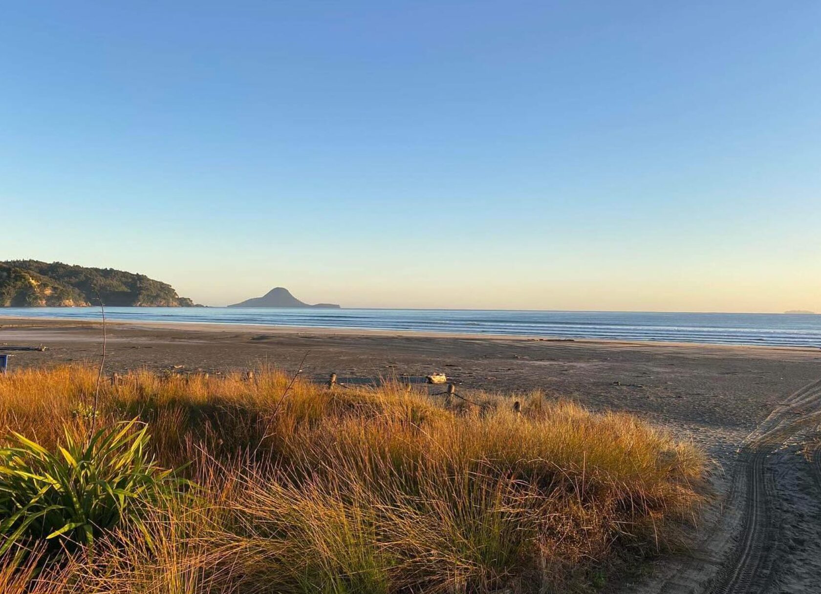Shellfish Bay Toxin warning for Bay of Plenty shellfish - Inside Government NZ