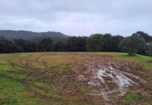 Auckland Council calls out sports fields hoons