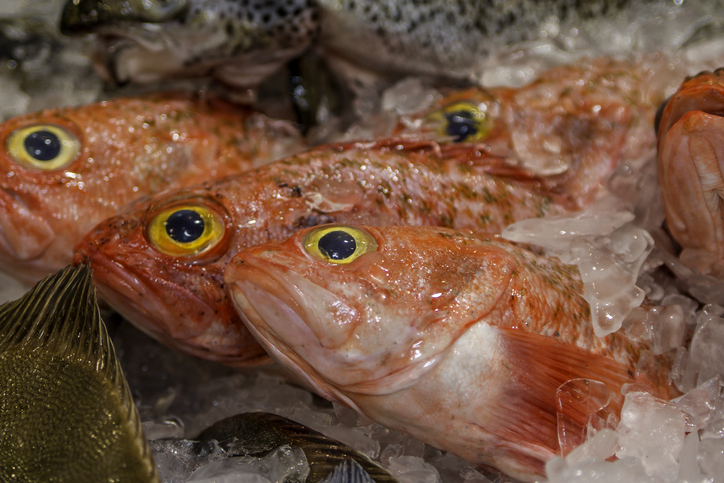 New catch limits on the hook for Chatham Rise - Inside Government NZ