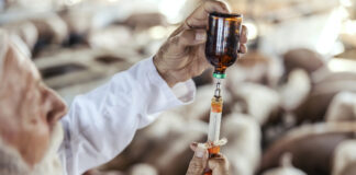 Primary sector to benefit from trans-Tasman vet medicines agreement