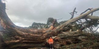 Additional $70k pledged for Southland storm clean-up