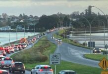 Pre-works begin for Welcome Bay transport corridor