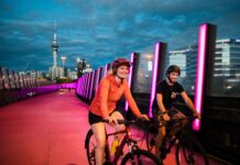 Auckland’s ‘symphony’ cycle path plays out 10th anniversary