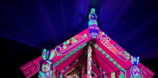 Hosts and theme announced for Matariki 2026