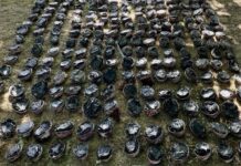 Fisheries to step up pāua poaching patrols