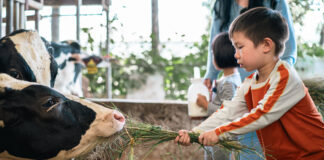 New China beef quotas unlikely to restrict NZ exports, says Minister
