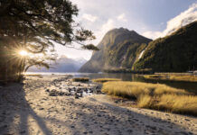 Concession granted for Milford Sound tourism future