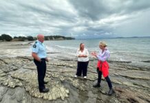 Advice sought on rockpool protections