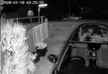 Police appeal for man over Lake Hāwea car break-ins