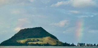 Tauranga council to host community gathering