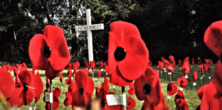 All veterans to be recognised on ANZAC Day