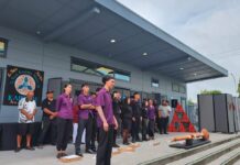 Māori education package and draft curriculum unveiled