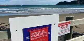 Crown Review Team to review Wellington sewage plant failures