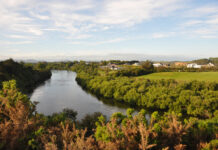 Waikato water plan a step closer following interim court decision