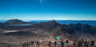 Tongariro Alpine Crossing transport operator suspended for ignoring weather warning