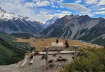 Mount Cook kea flock tagged for track travels