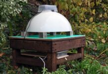 AI cameras to add sting to hornet eradication program