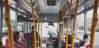 GoBay bus network proving popular with passengers