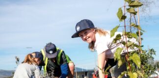 Selwyn District named world tree city