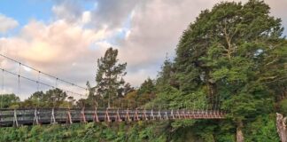 New bridge build to begin for Tongariro River Trail