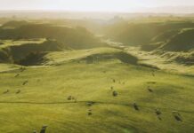 Minister welcomes $10m Landcorp special dividend