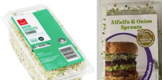 Sprouts recalled over listeria fears